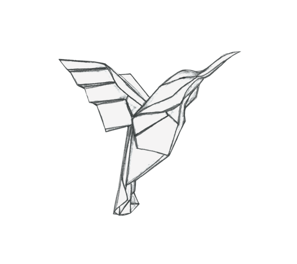 hummingbird ppl 2020