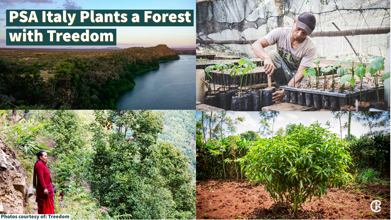 PSA Italy Plants a Forest with Treedom
